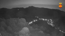 Webcams
