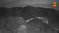 Webcams