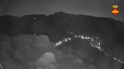 Webcams