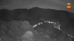 Webcams