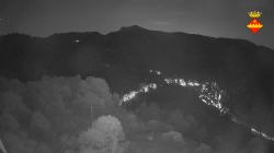 Webcams