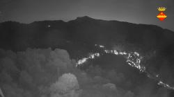 Webcams