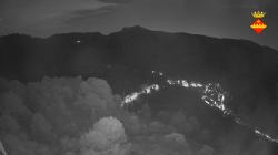 Webcams