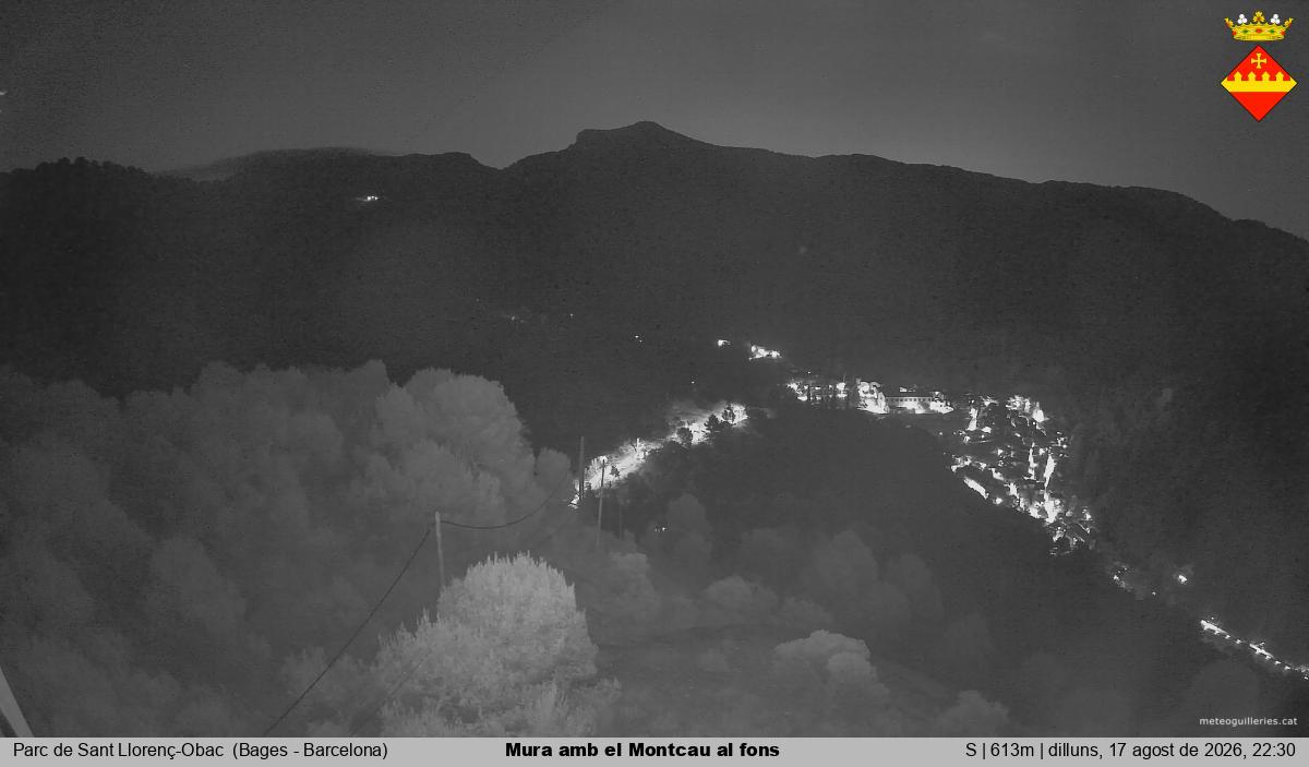 Mura amb el Montcau al fons