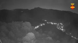 Webcams