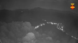 Webcams