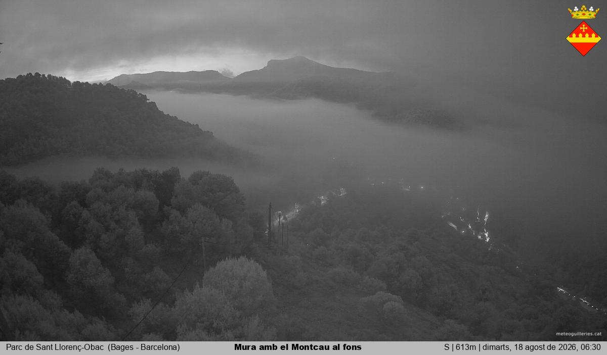 Mura amb el Montcau al fons
