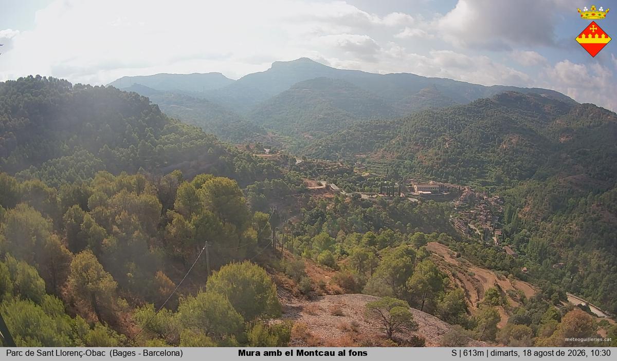 Mura amb el Montcau al fons