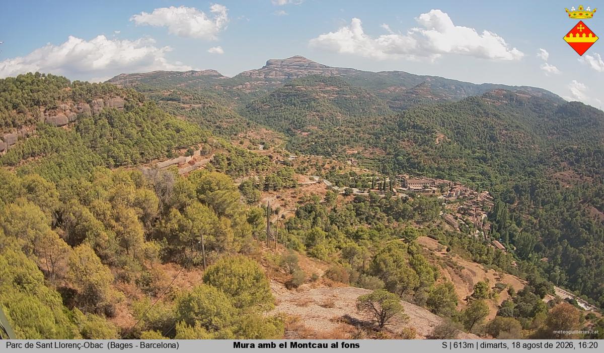 Mura amb el Montcau al fons