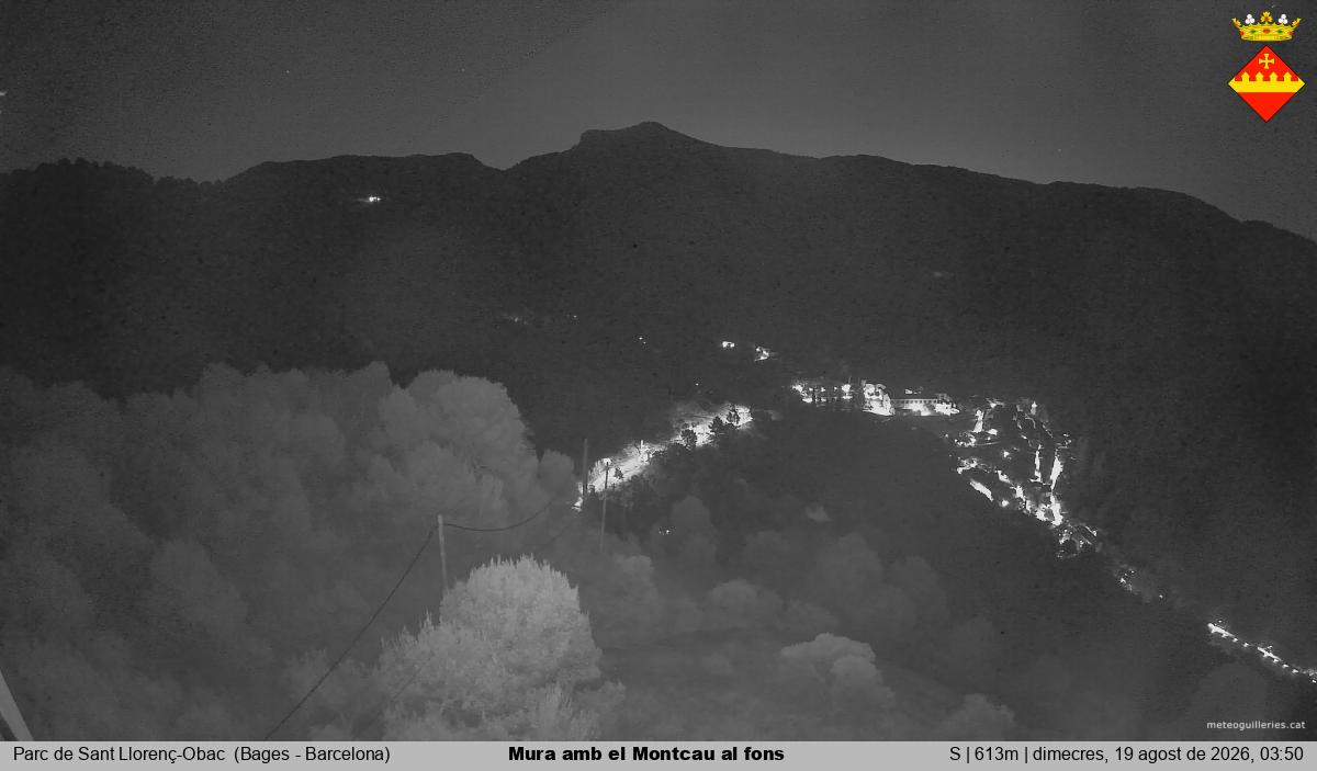 Mura amb el Montcau al fons