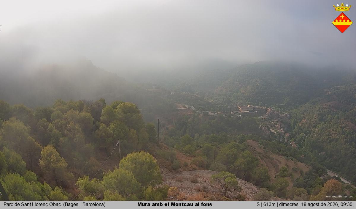 Mura amb el Montcau al fons