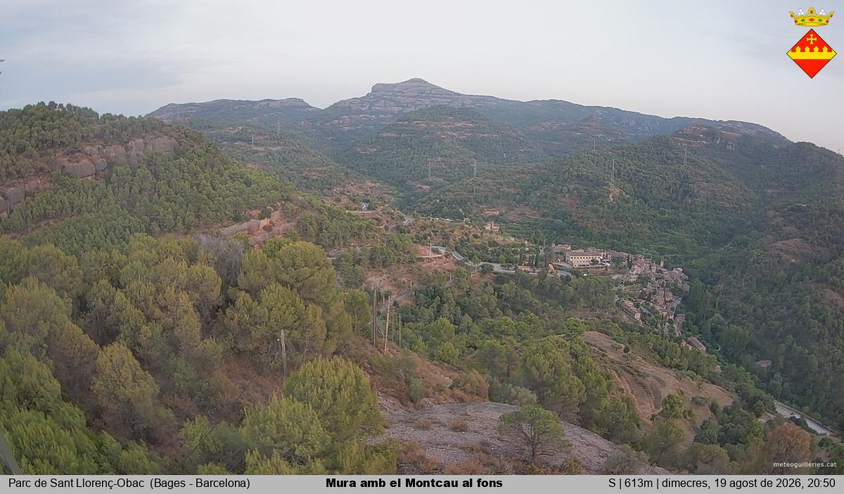 Mura amb el Montcau al fons