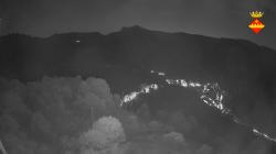 Webcams