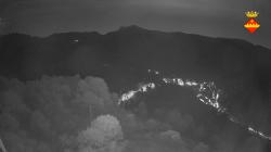 Webcams