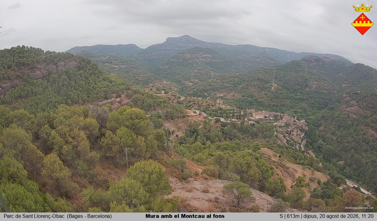 Mura amb el Montcau al fons