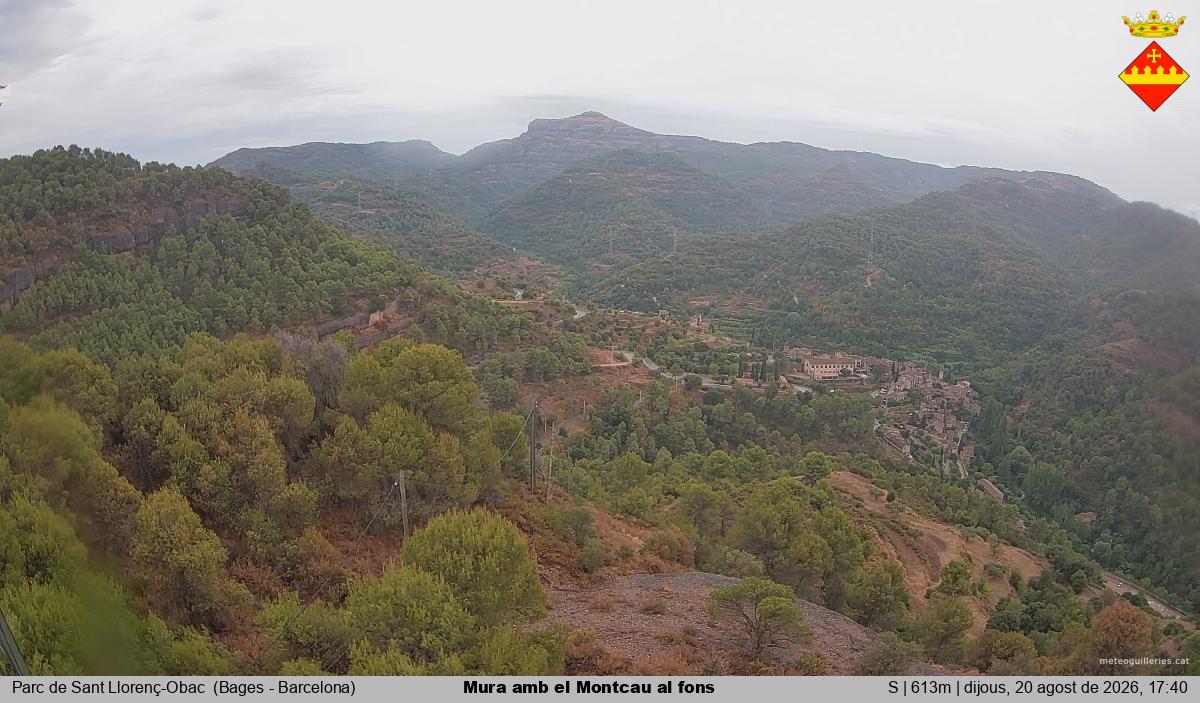 Mura amb el Montcau al fons