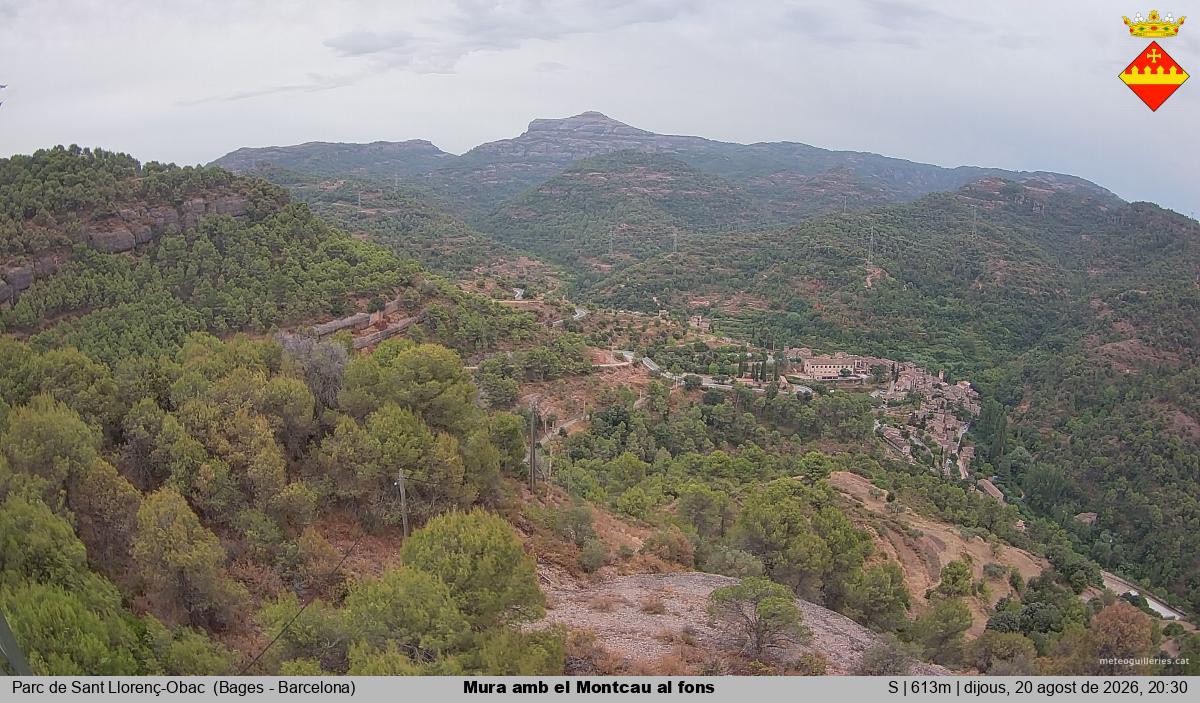 Mura amb el Montcau al fons