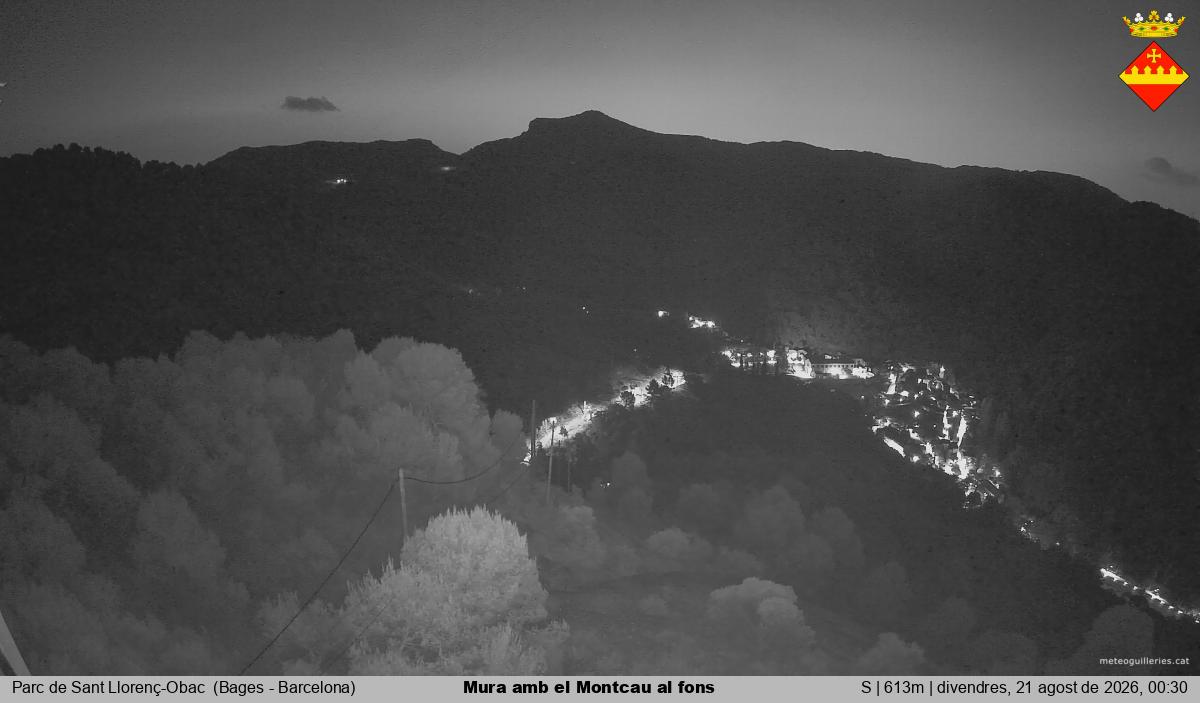 Mura amb el Montcau al fons