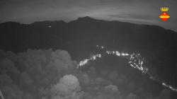 Webcams