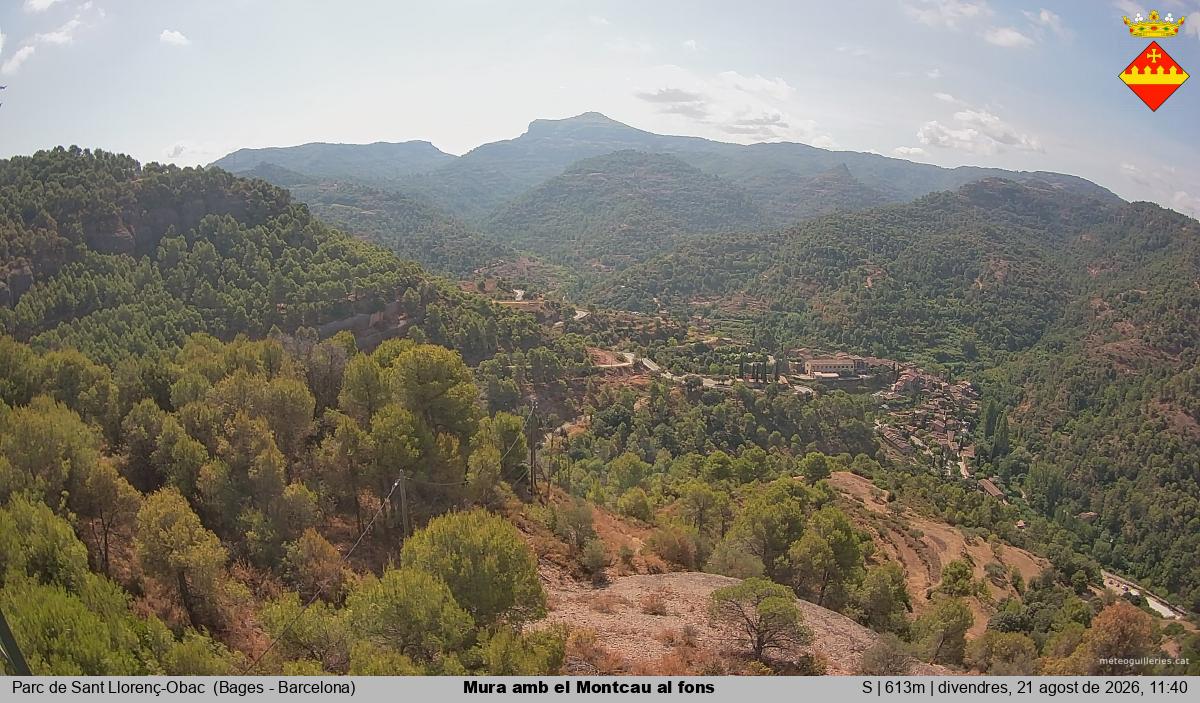 Mura amb el Montcau al fons