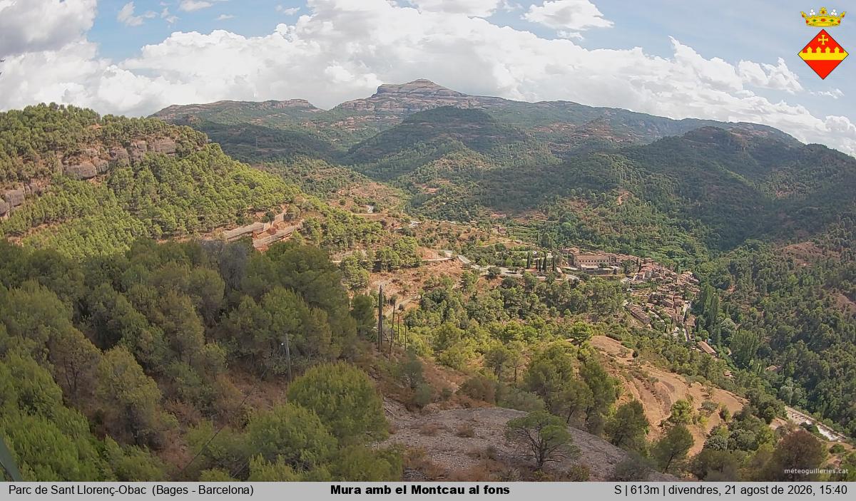 Mura amb el Montcau al fons