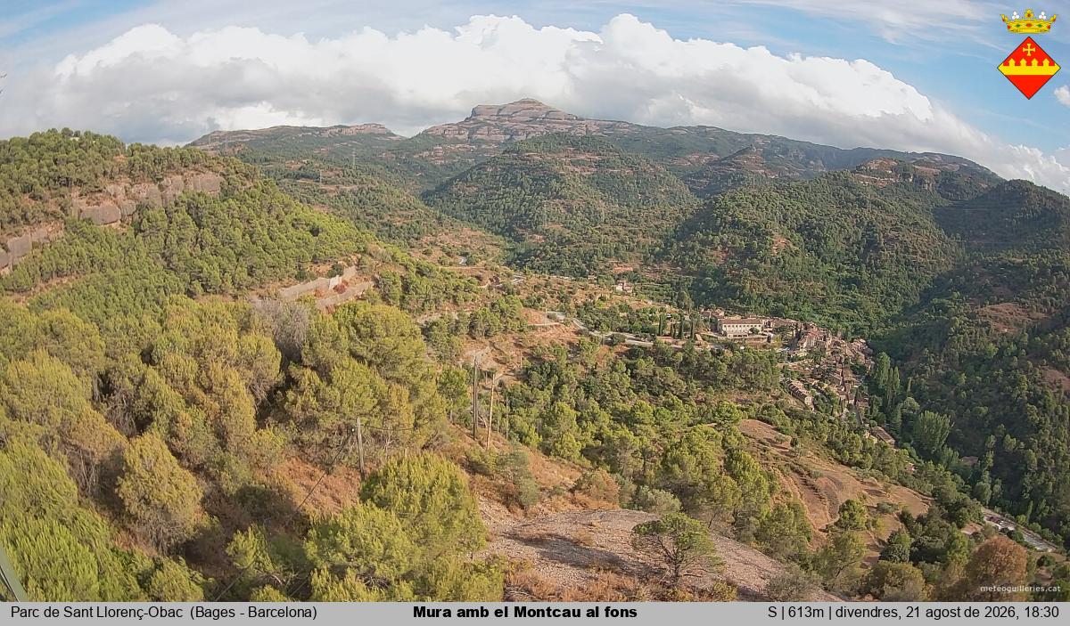 Mura amb el Montcau al fons