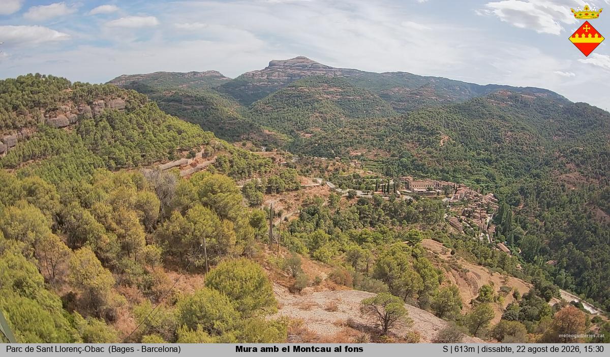 Mura amb el Montcau al fons