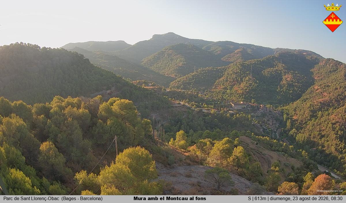 Mura amb el Montcau al fons