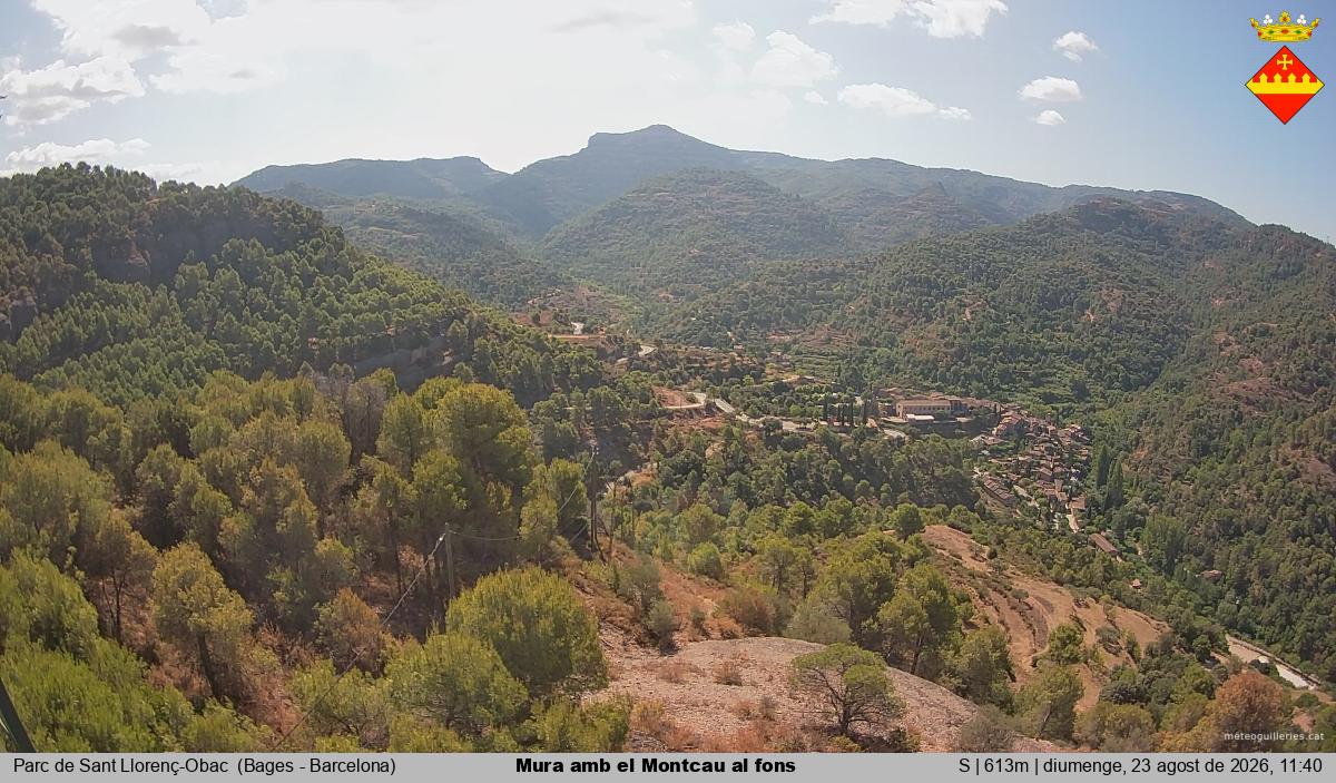 Mura amb el Montcau al fons