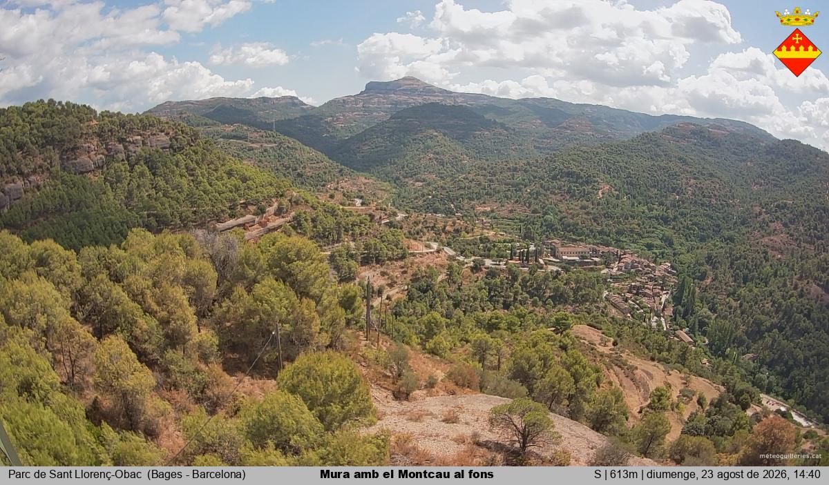 Mura amb el Montcau al fons