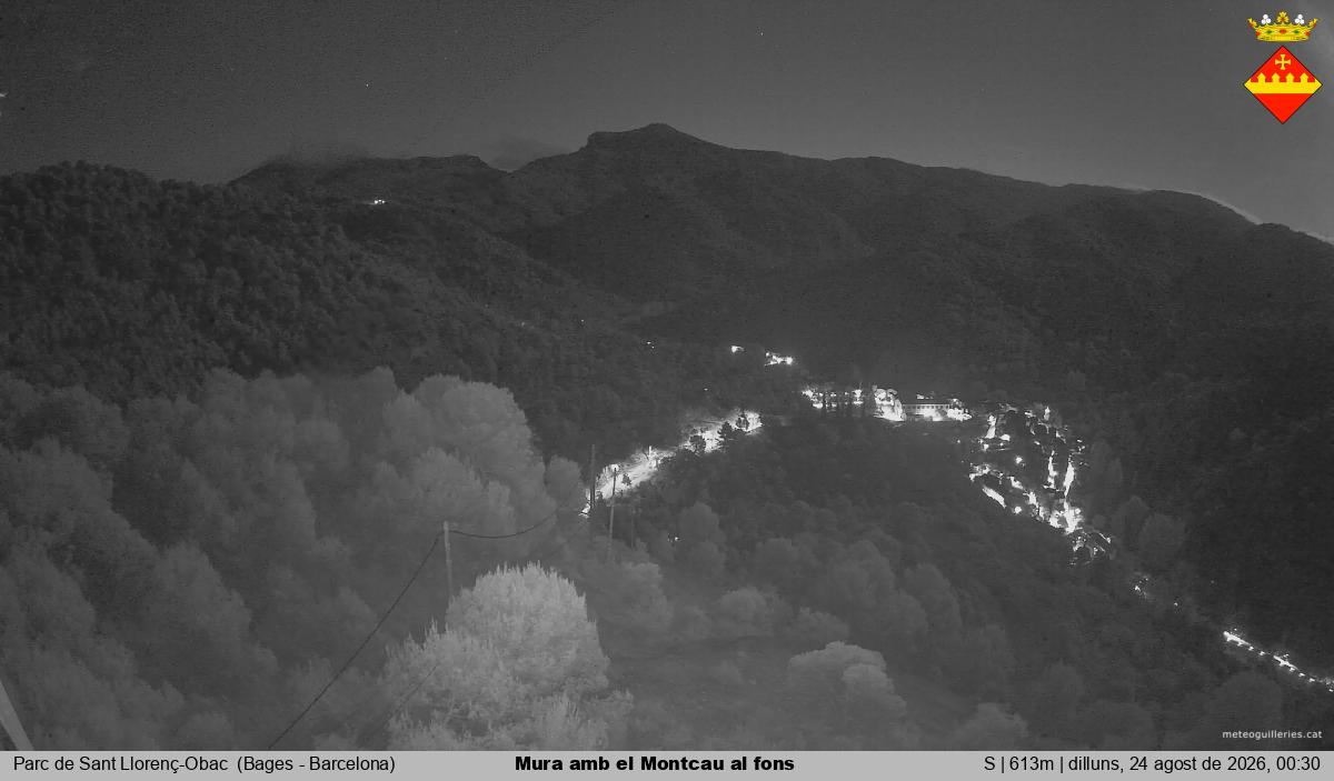 Mura amb el Montcau al fons