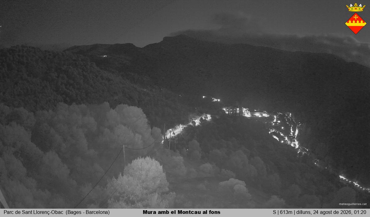 Mura amb el Montcau al fons