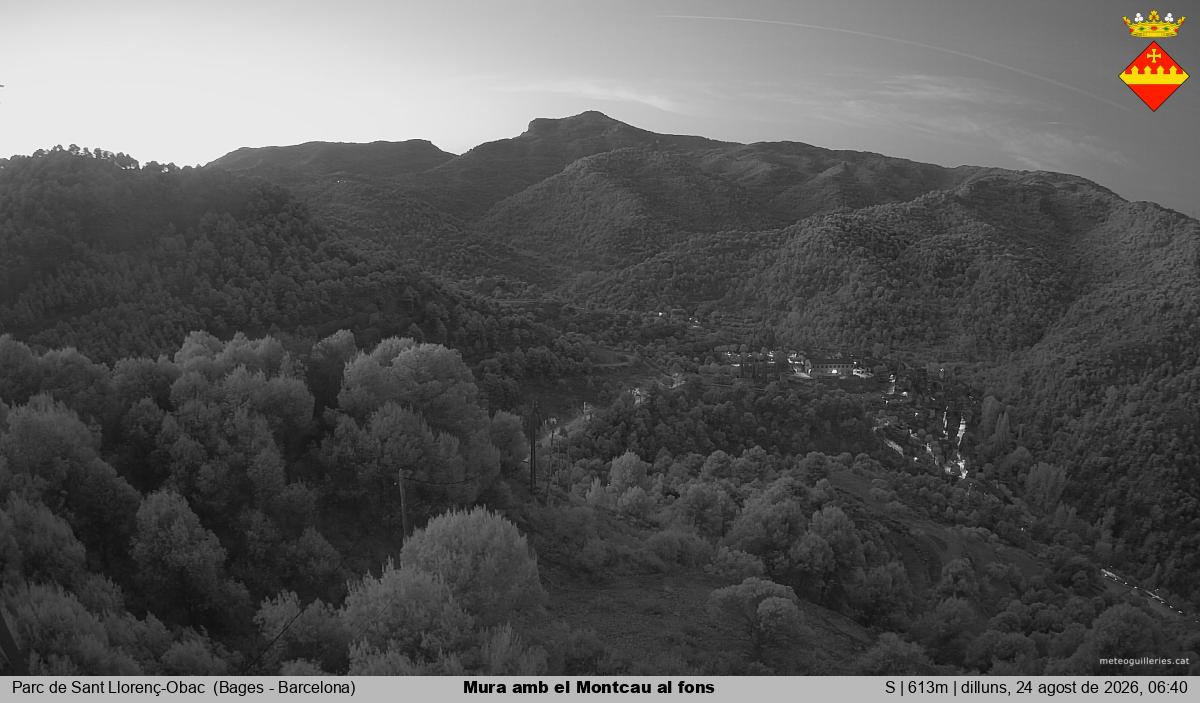 Mura amb el Montcau al fons