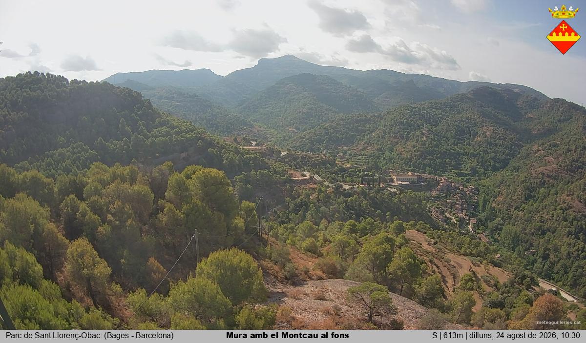 Mura amb el Montcau al fons
