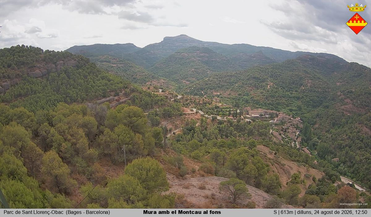 Mura amb el Montcau al fons