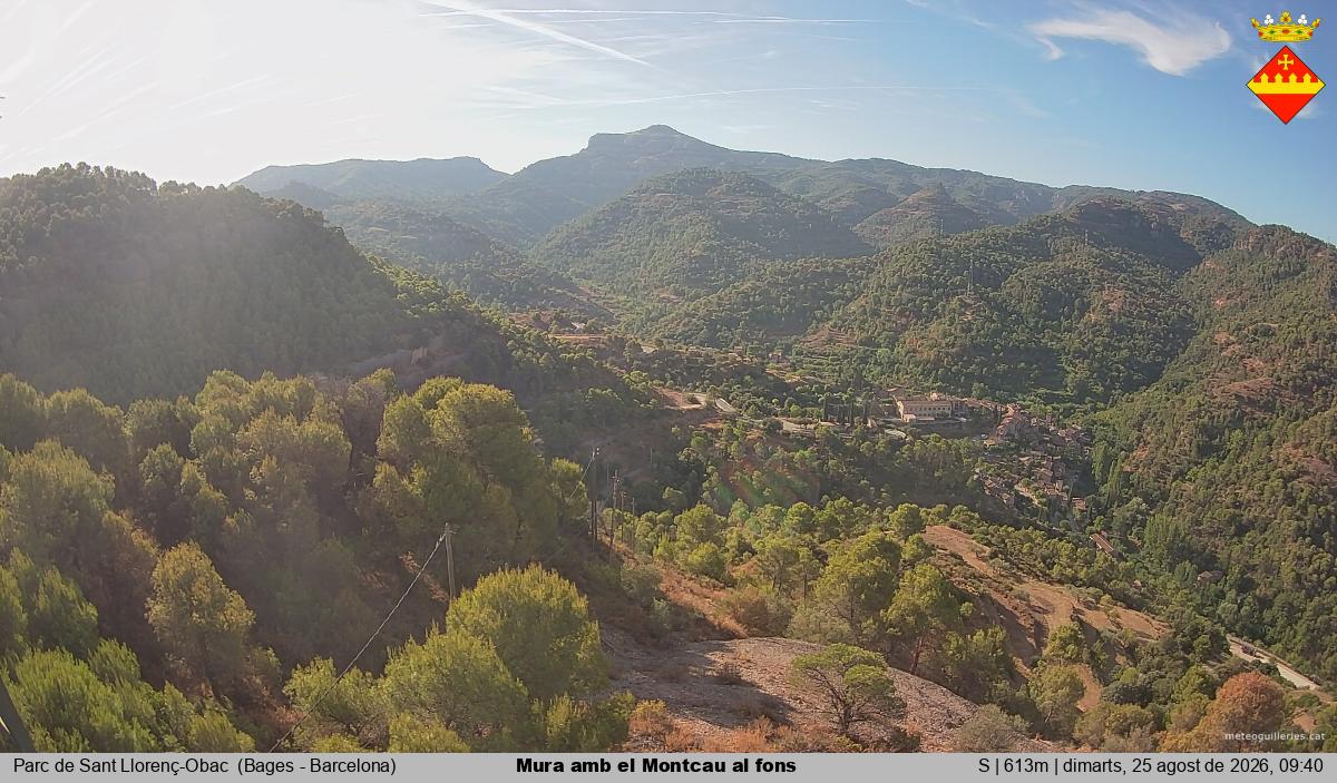 Mura amb el Montcau al fons
