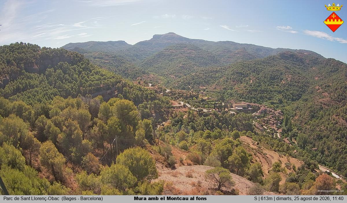 Mura amb el Montcau al fons