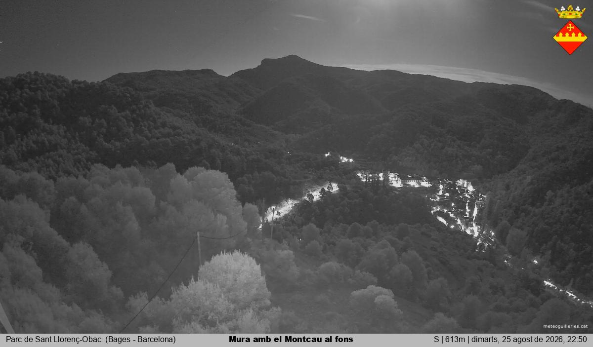 Mura amb el Montcau al fons