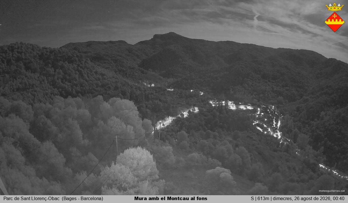 Mura amb el Montcau al fons