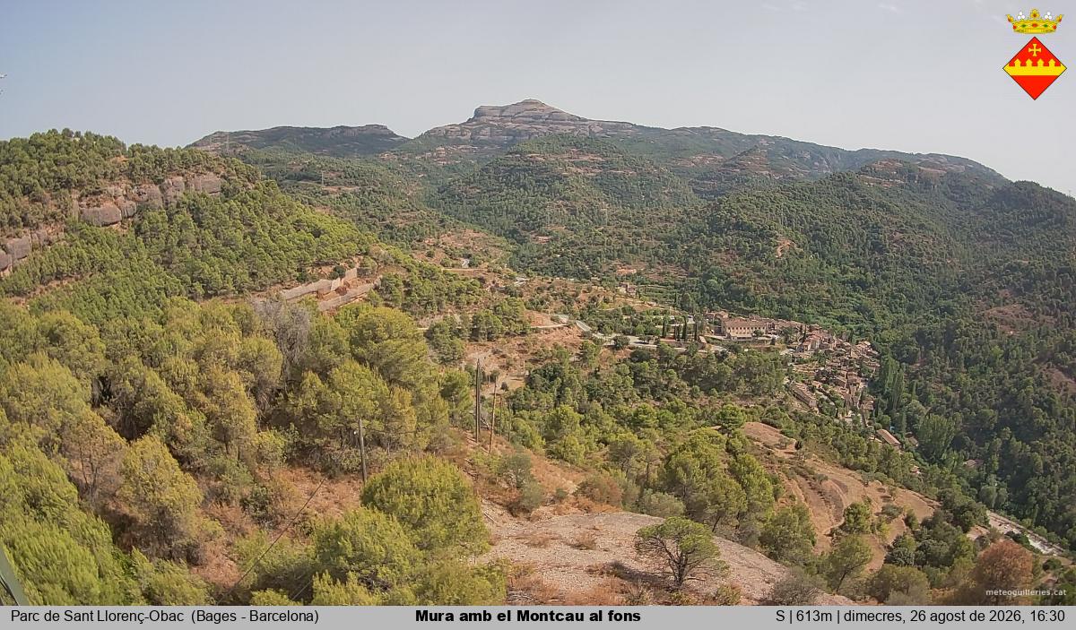 Mura amb el Montcau al fons
