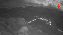 Webcams