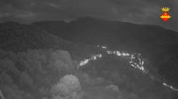 Webcams