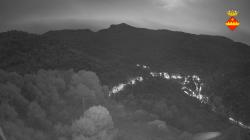 Webcams