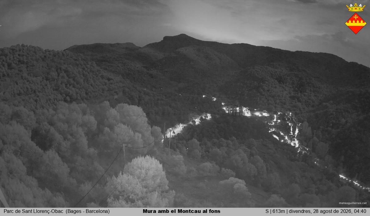 Mura amb el Montcau al fons