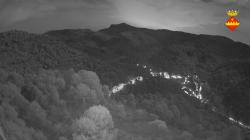 Webcams