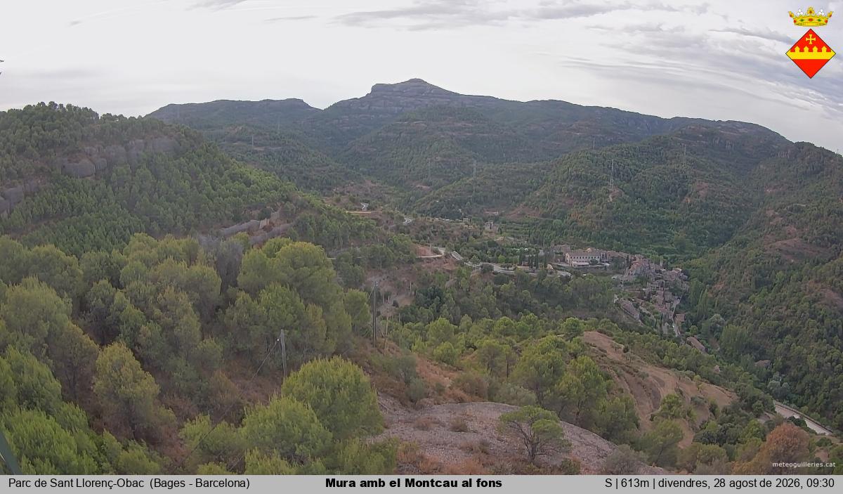 Mura amb el Montcau al fons