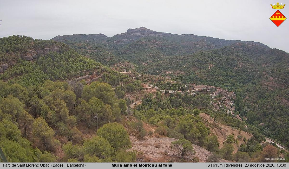 Mura amb el Montcau al fons