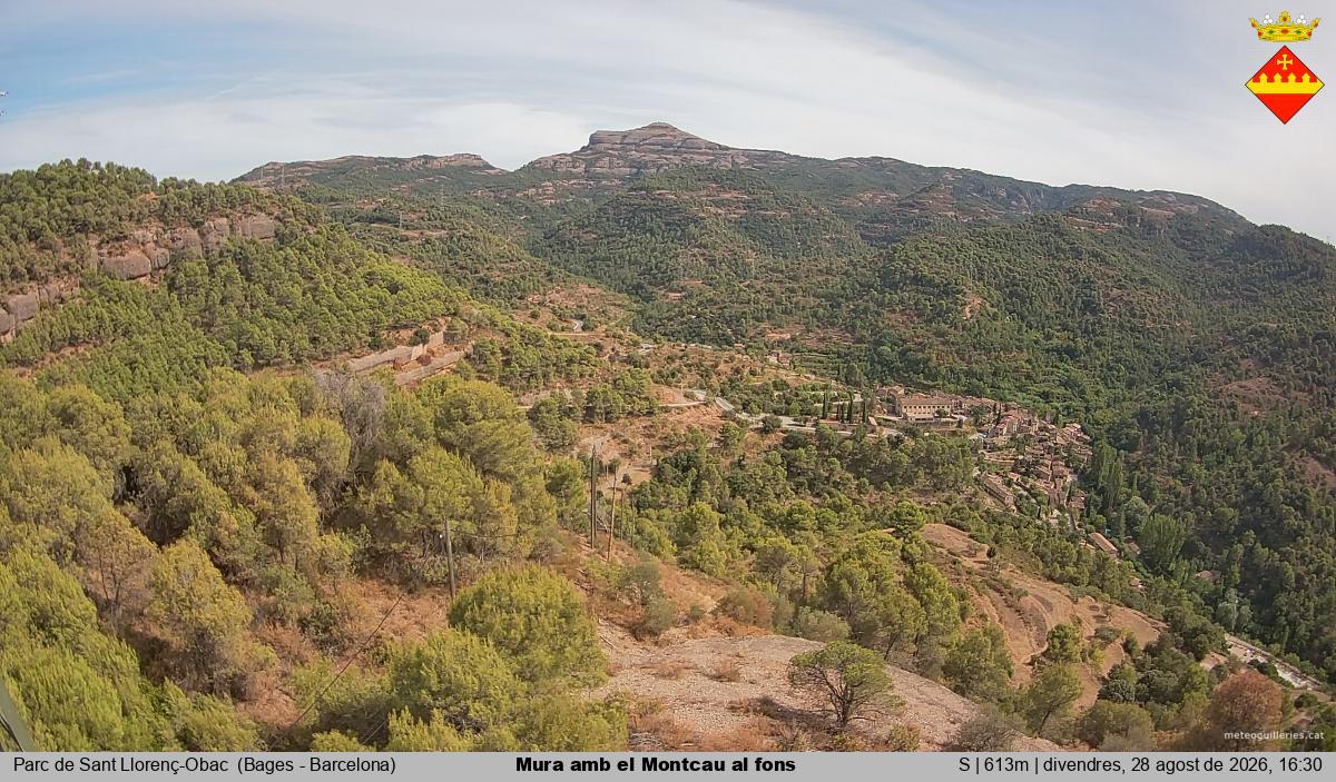 Mura amb el Montcau al fons