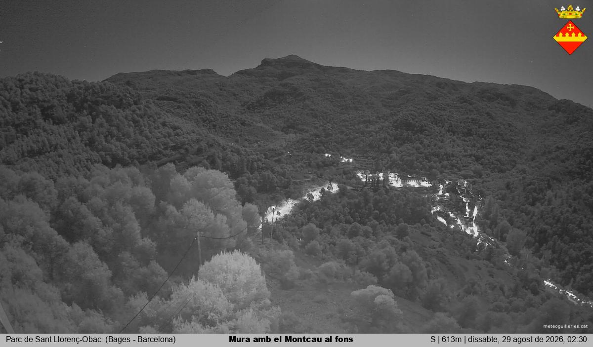 Mura amb el Montcau al fons