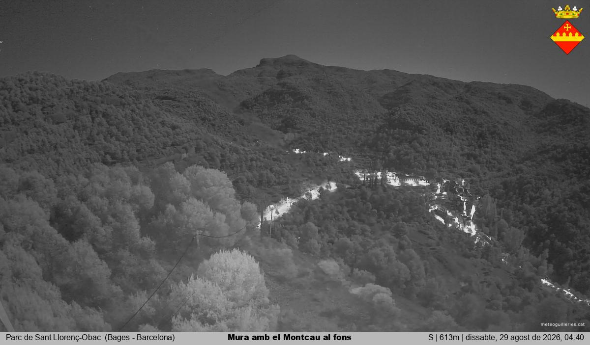 Mura amb el Montcau al fons